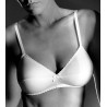  REGGISENO GIOS art.145