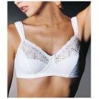 REGGISENO GIOS art. 973
