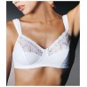 REGGISENO GIOS art. 973
