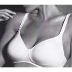 REGGISENO GIOS art. CANNELLA