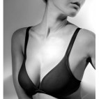 REGGISENO GIOS art. GINSENG
